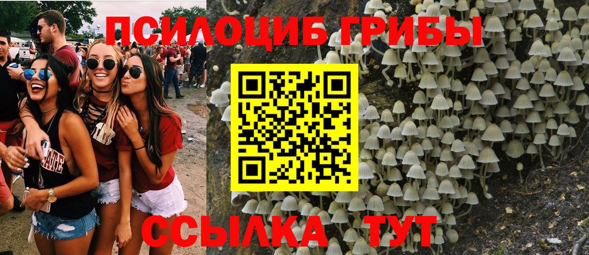Выборг  Псилоцибиновые грибы Cubensis  Псилоцибиновые грибы мицелий  Вход с VPN 